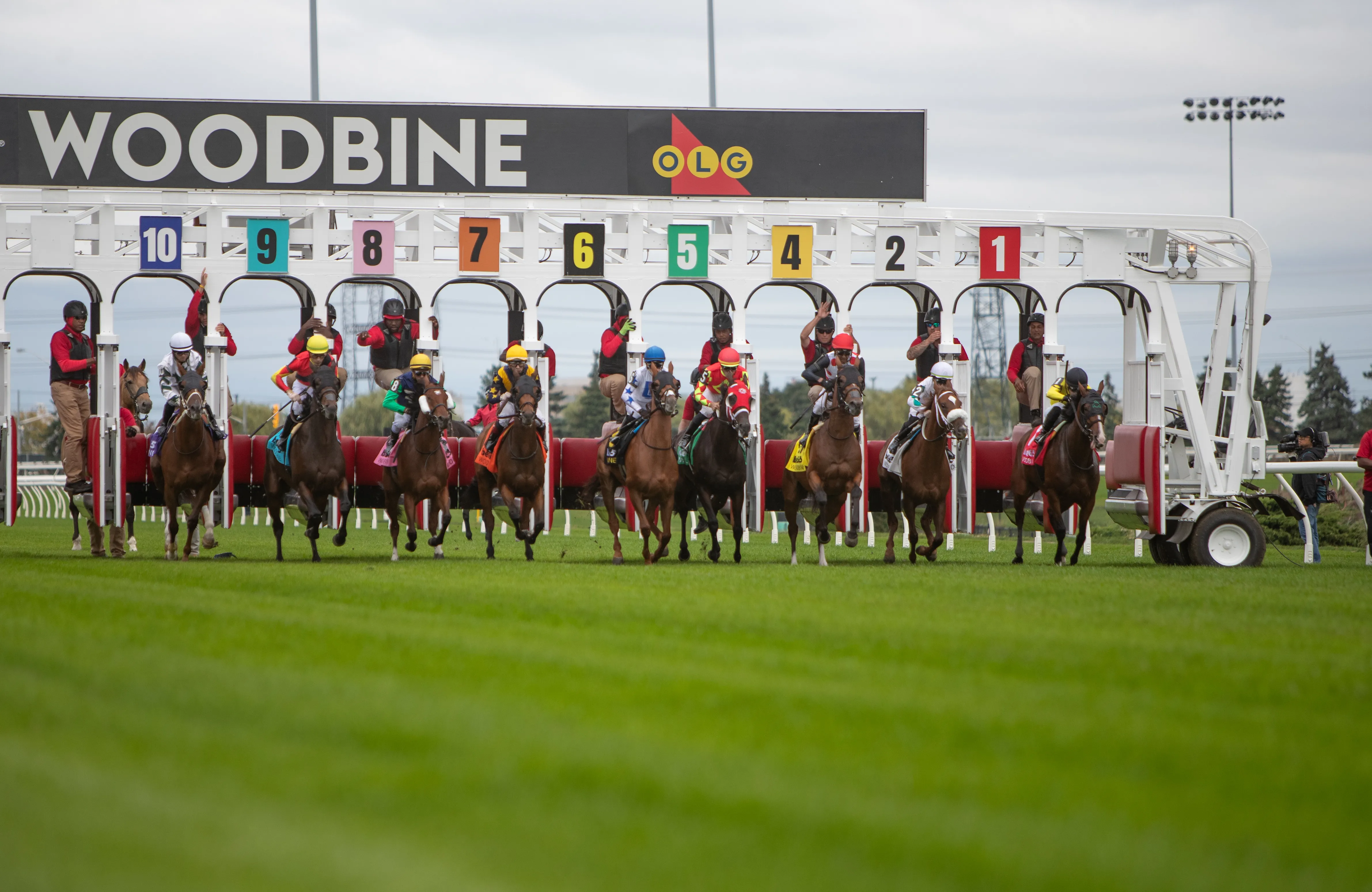 Woodbine Scenic01.09-28-24.JUW_.jpg