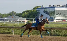 Preakness 2026: New Mexico stalwart Fincher gets first taste of Triple Crown