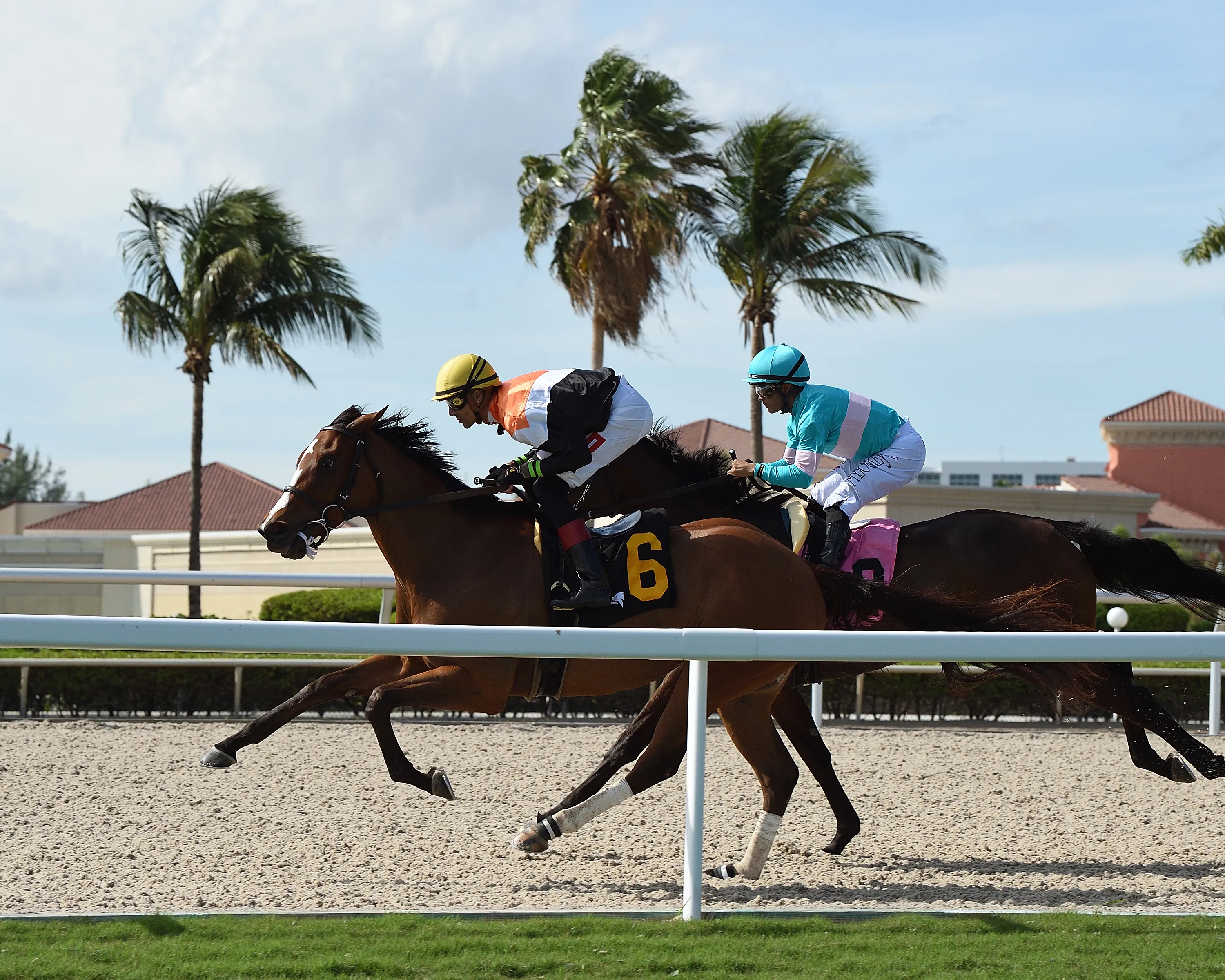 Gulfstream scenic01.1.12.24.RTCP_.jpg