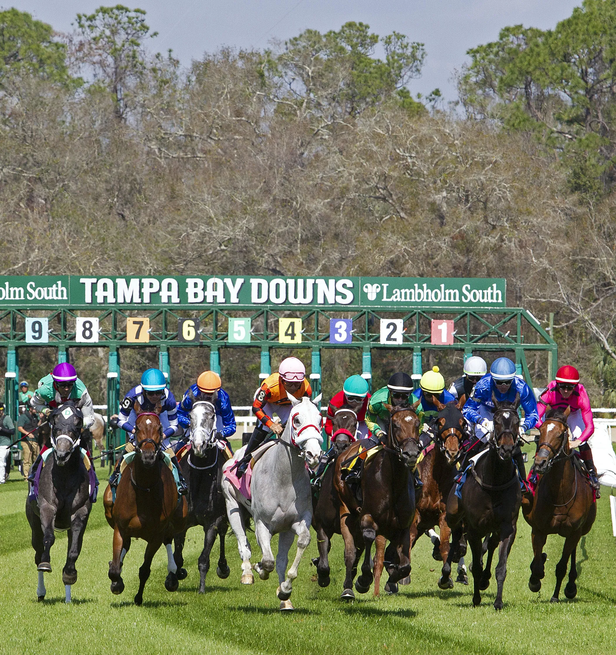 TampaBayDowns03.2-8-25.TK_.jpg