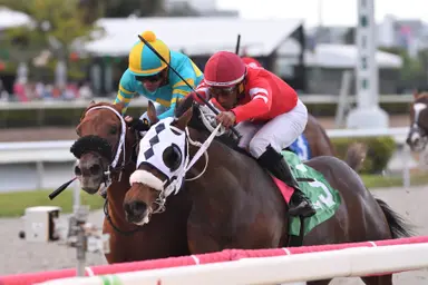 Glorious Boy looks to double up in Dania Beach Stakes