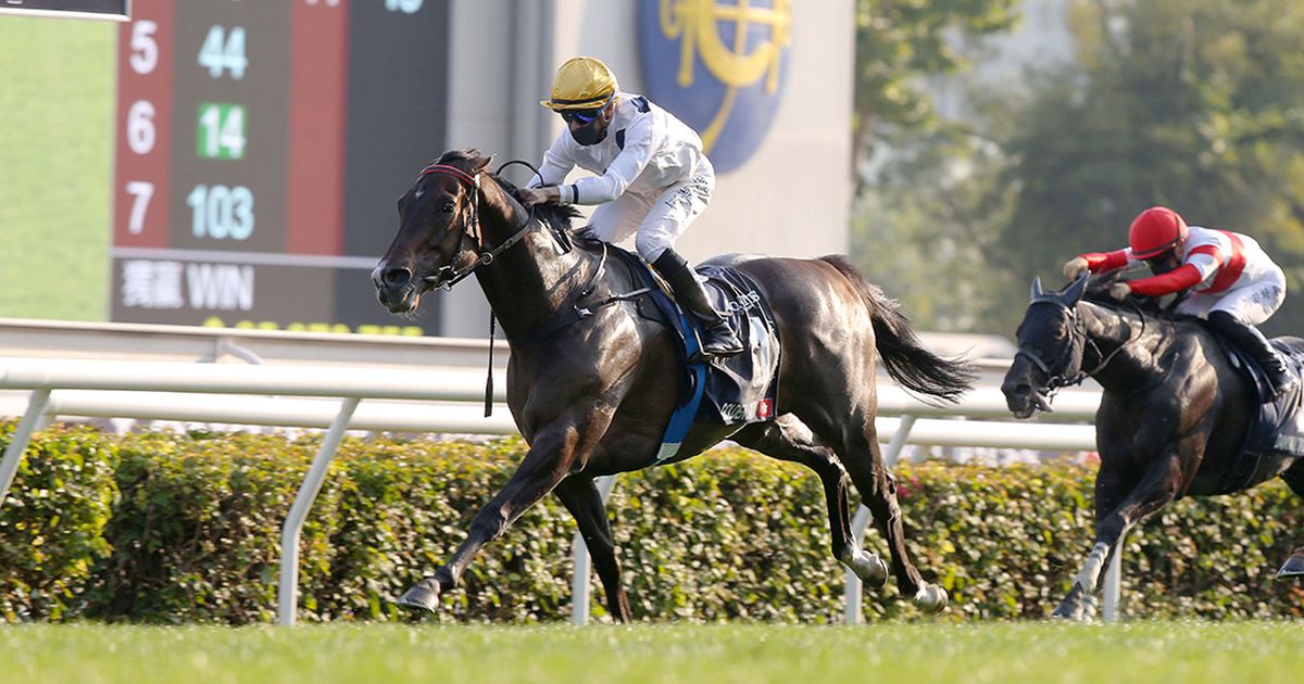 Luke Middlebrook's Hong Kong Selections and Analysis for Sunday, May 31 ...