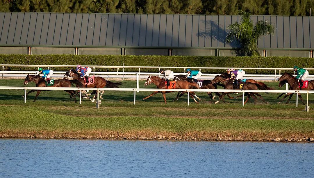 Turf racing at Gulfstream Park, 2020