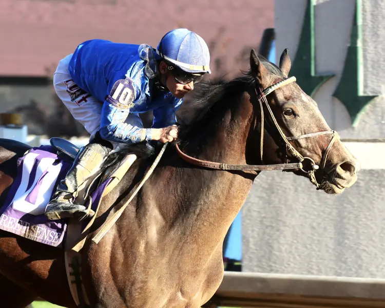 SOVEREIGNTY - The Street Sense G3 - 10-27-24 - R10 - Churchill Downs - Finish 04 - Renee Torbit.jpg