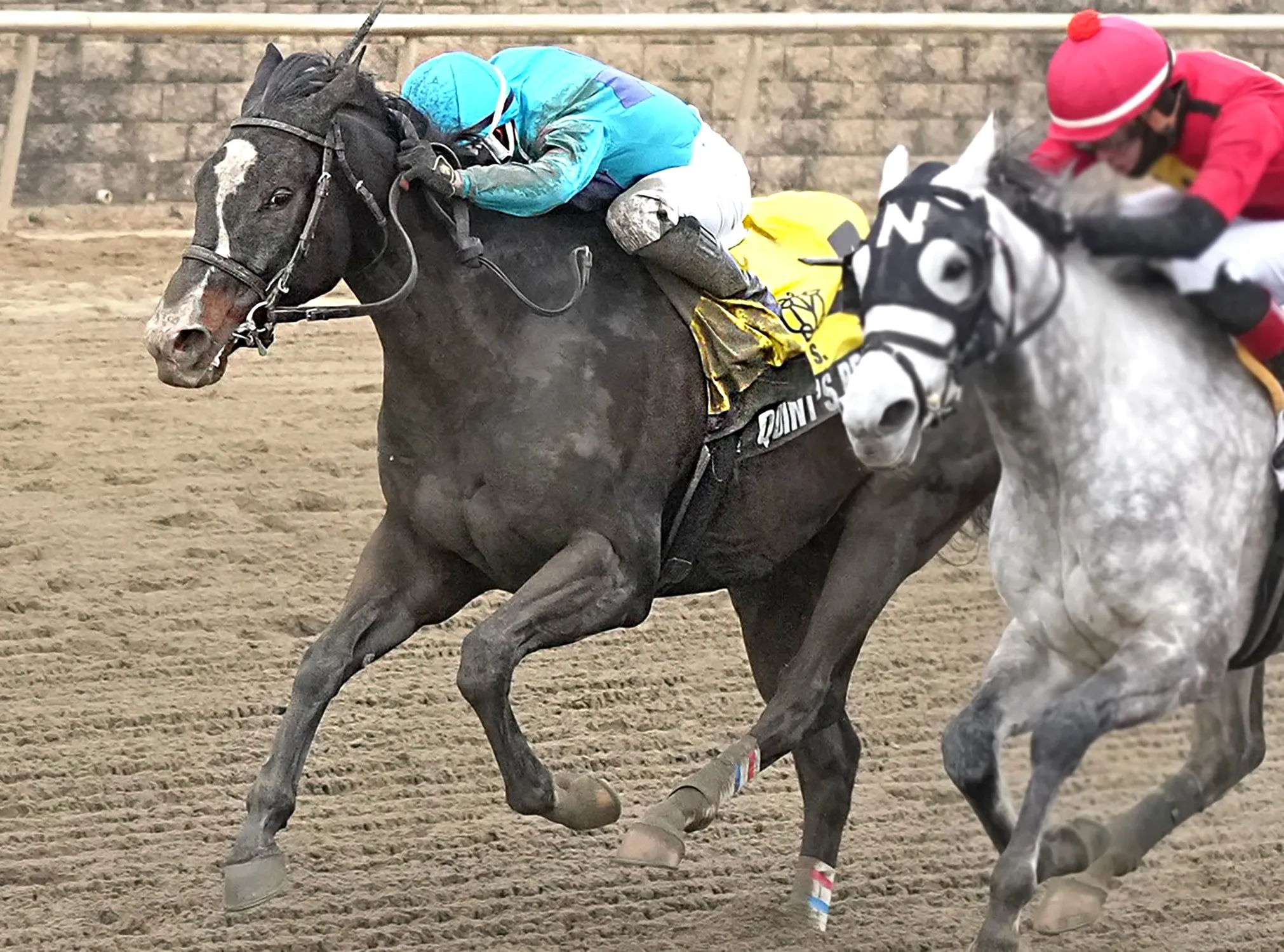 Quint's Brew (left) wins Jennings at LRL Jan 17 2026