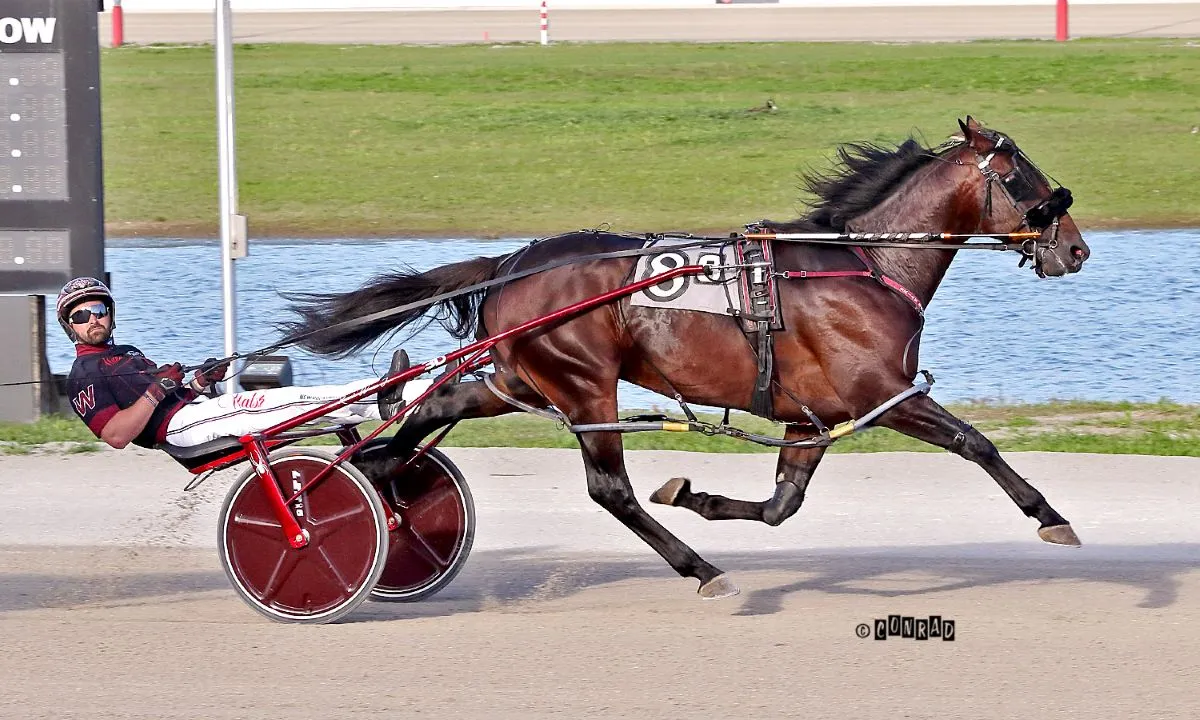 Dynamite Dylan (Conrad photo).jpg
