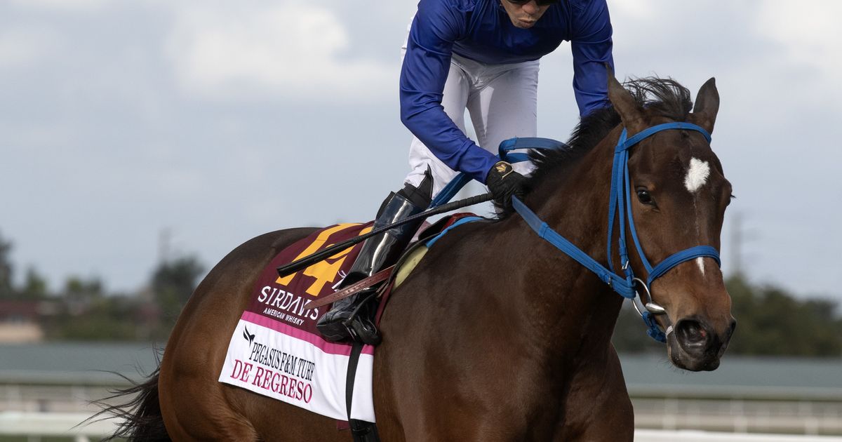 Former stakes winners look to recapture old form