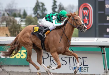 Celebrity Ro the horse-for-course in turf sprint