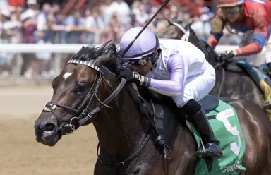 One Nine Hundred likely for Tom Fool next, trainer says