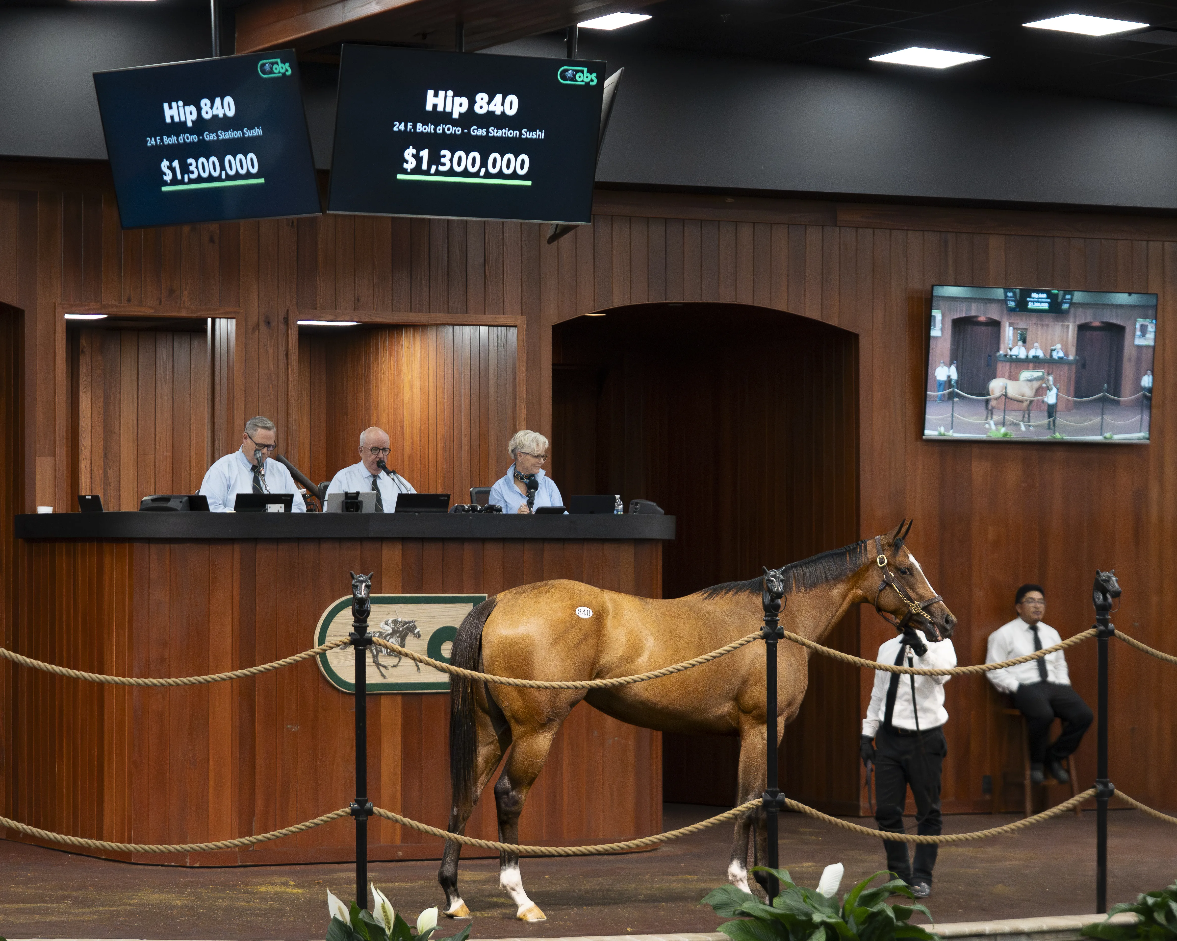 Hip No. 840 OBS sale/$1.3M Bolt d'Oro filly