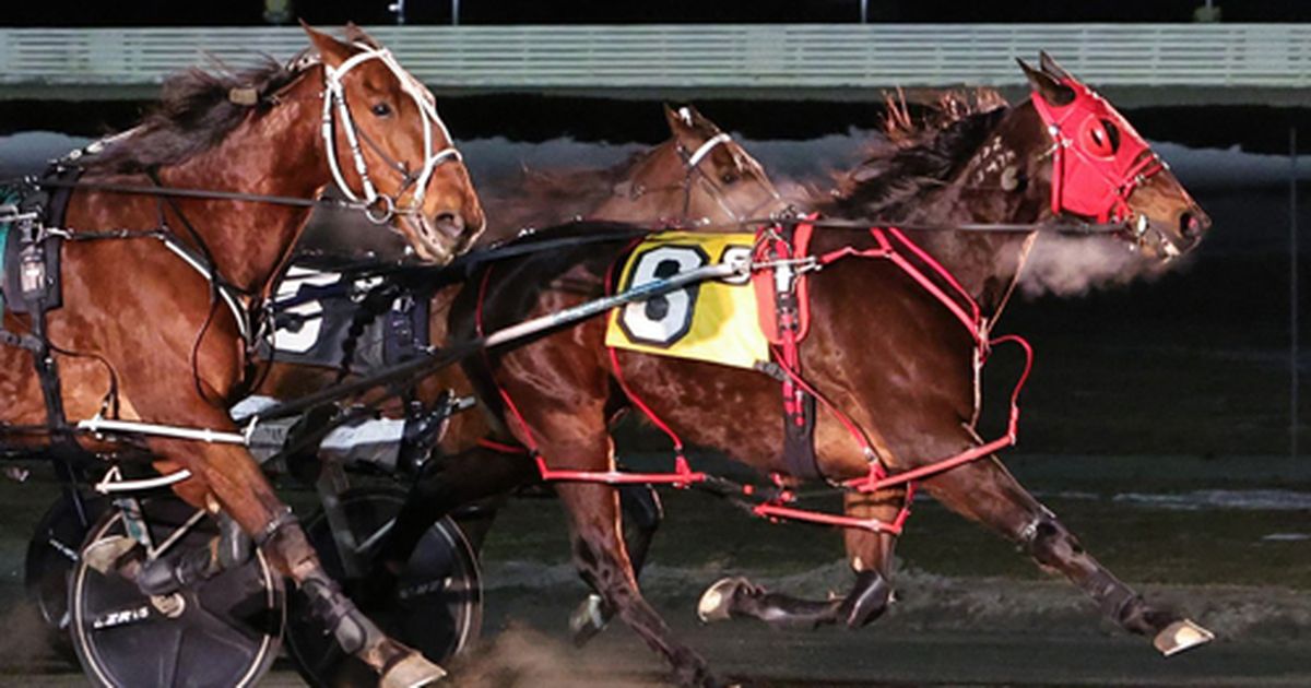 Harness: When drivers don't give a tuck