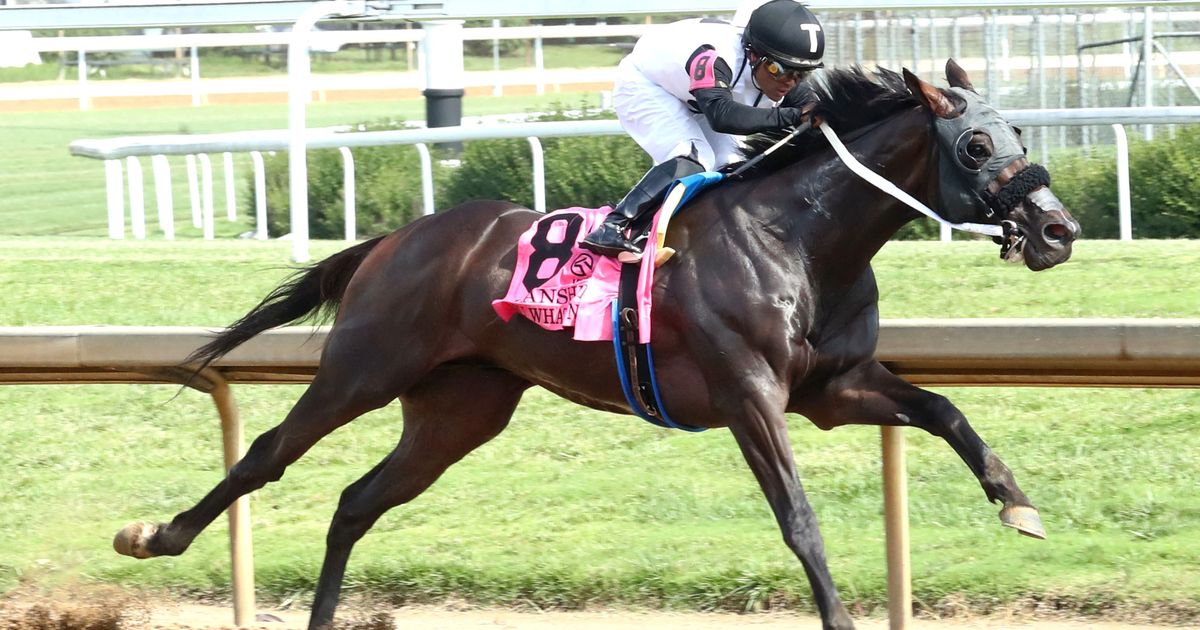 DiVito pointing Nu What's New to Ack Ack, BC Dirt Mile