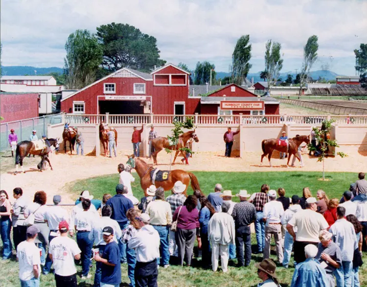 Ferndale.paddock.Frank_.jpg