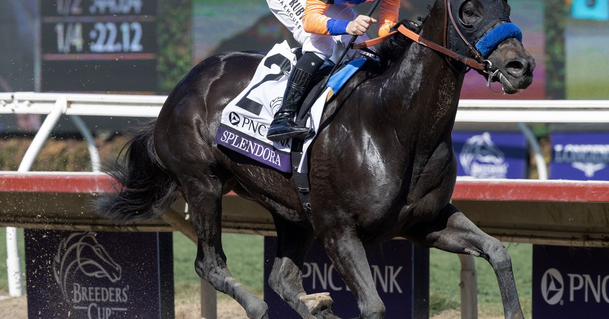 2025 Eclipse Awards: Splendora