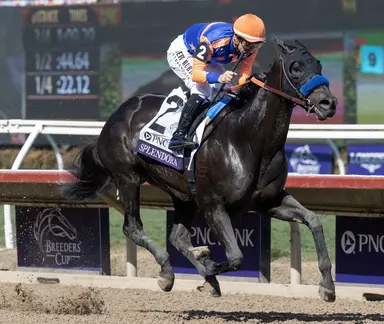 2025 Eclipse Awards: Splendora