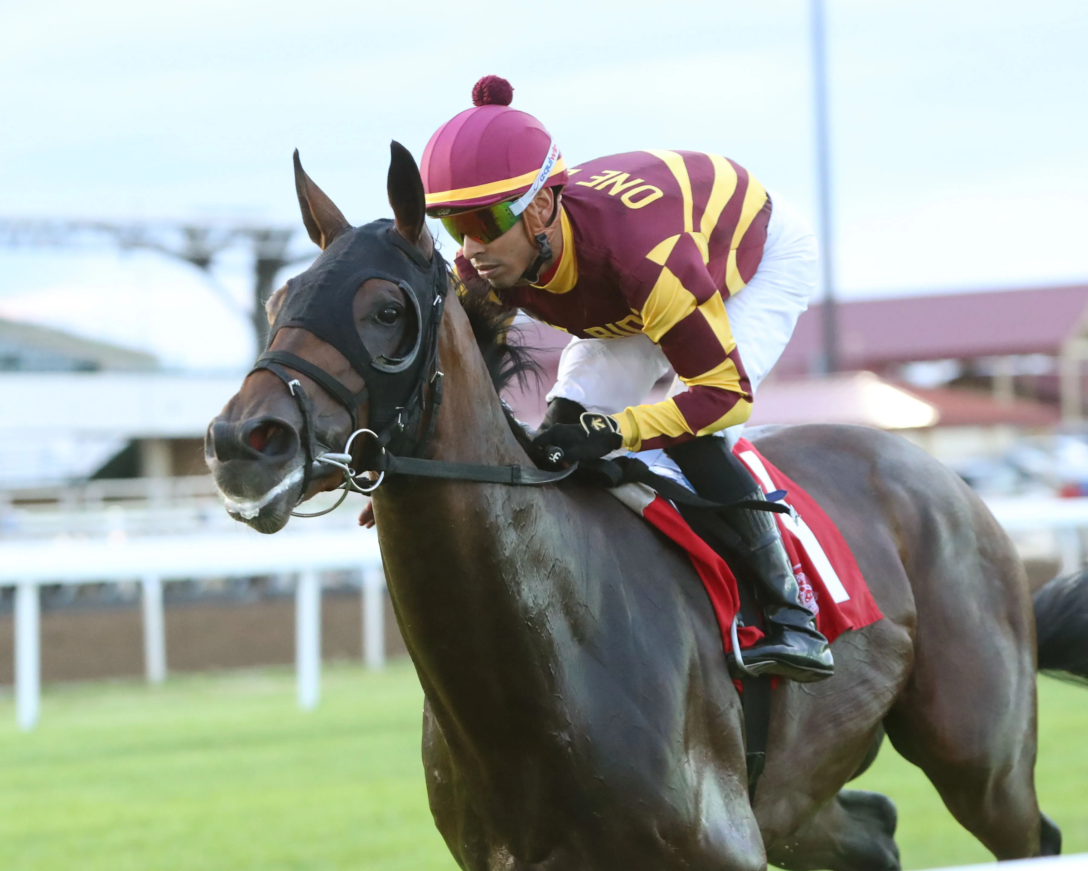 SUSHI MAN - Canterbury Derby - 06-28-25 - R07 - Canterbury Park - Inside Finish.jpg