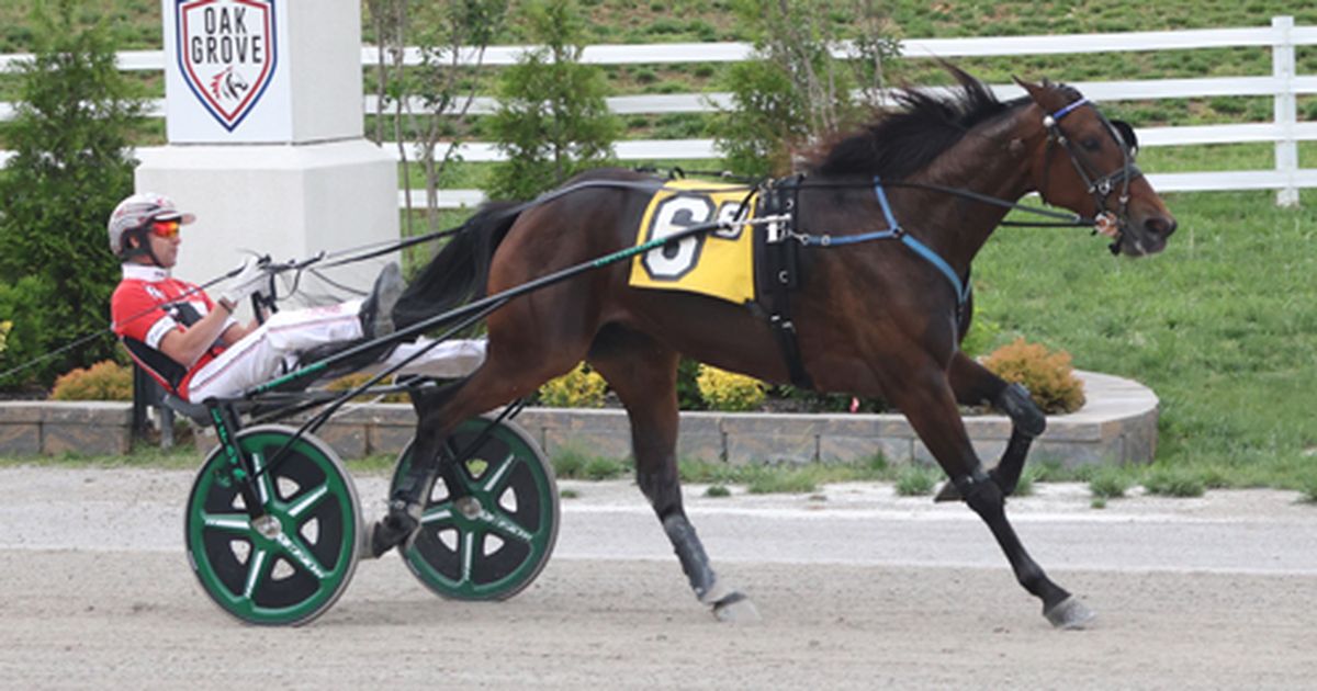 Oak Grove: Whiskey Wow trots fastest mile in track's history