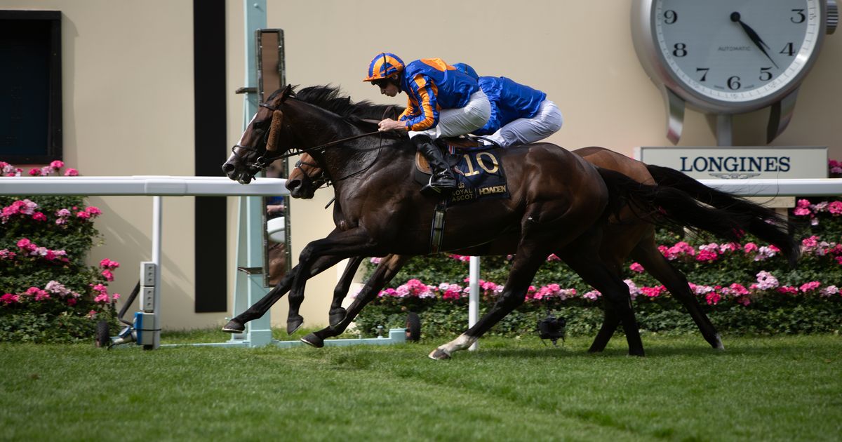 Royal Ascot 2026: Scandinavia lands O'Brien his 100th win in Gold Cup