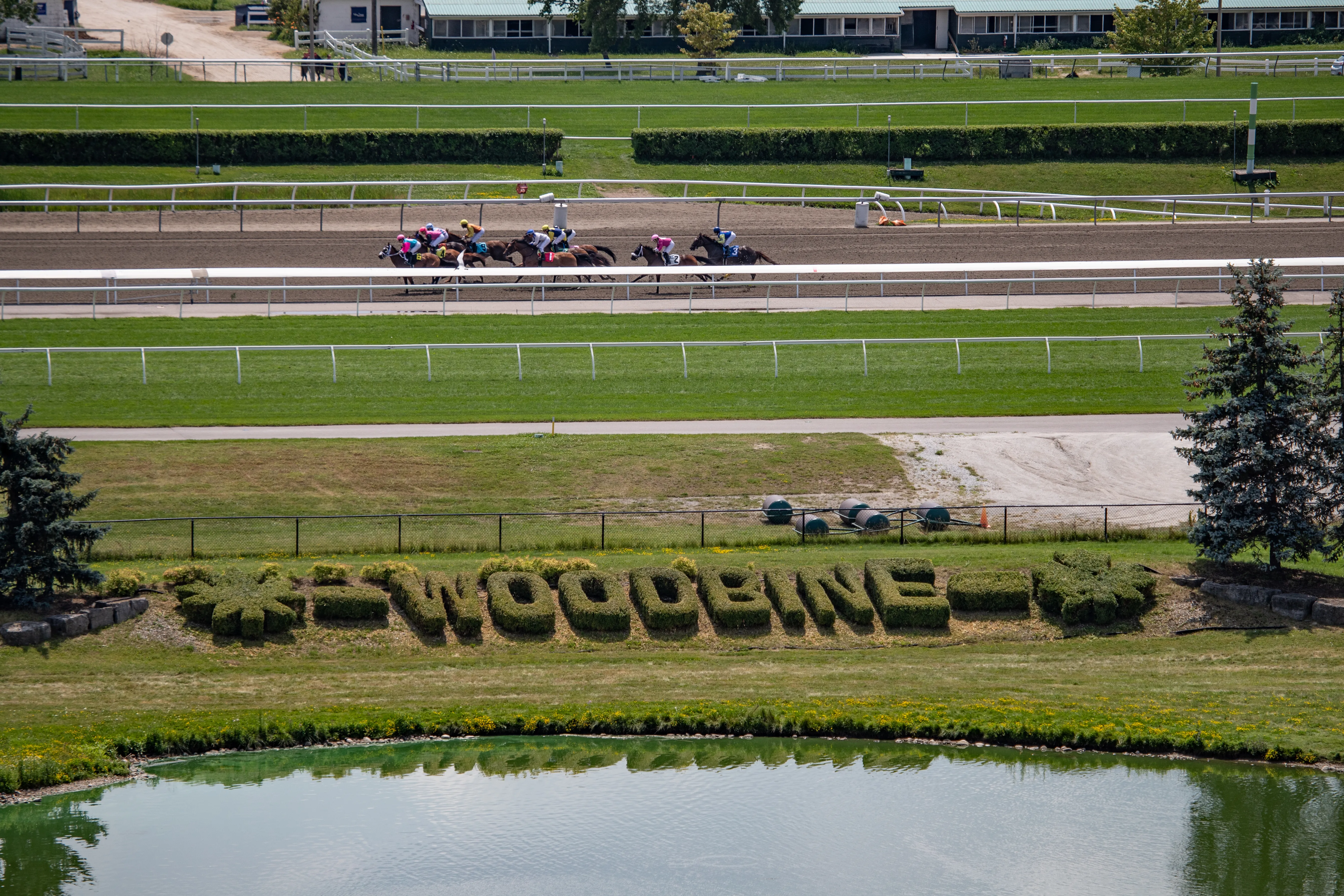 Woodbine Scenic01.07-13-24.JUW_.jpg