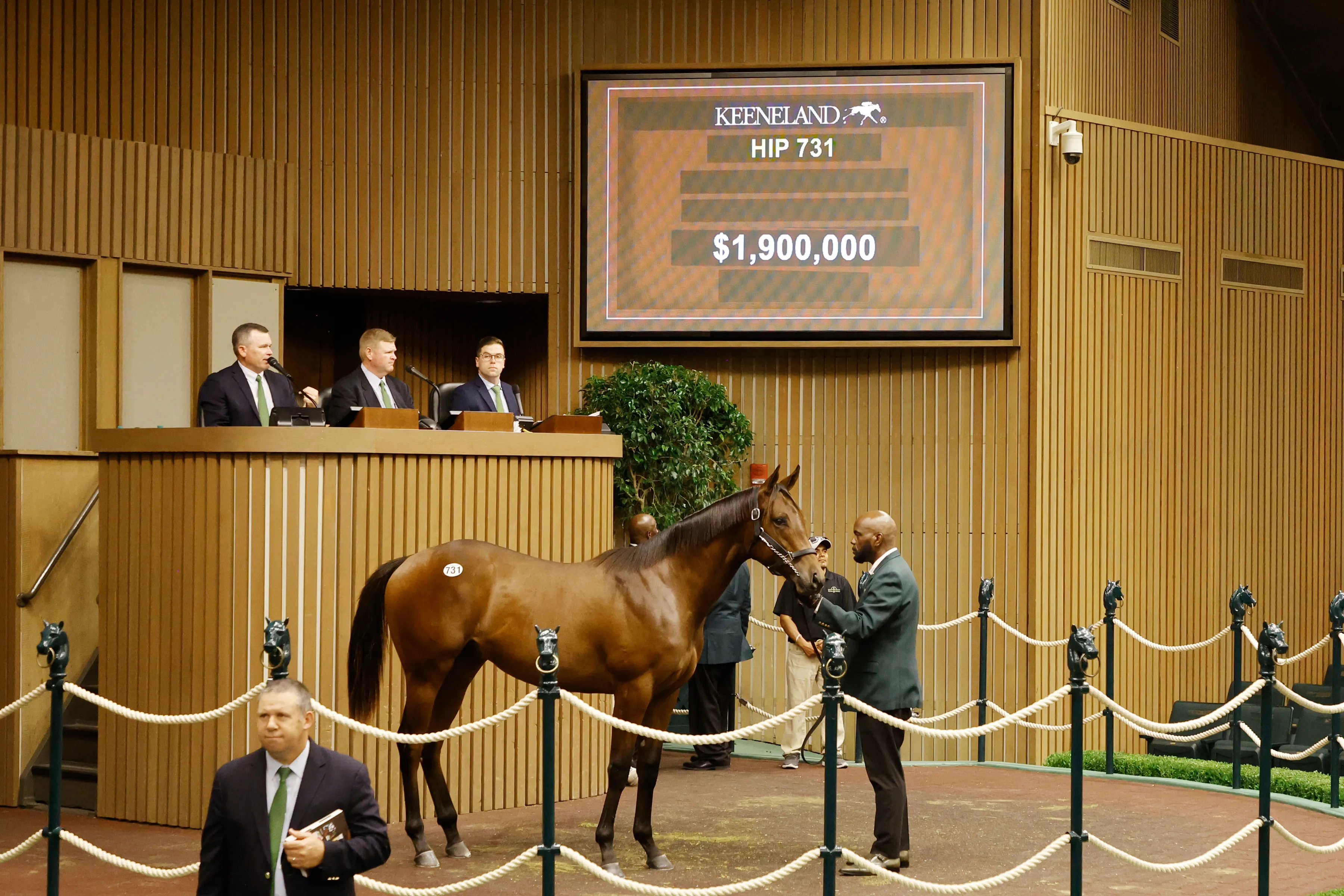 Keeneland September Hip 731.02.9.10.25.KEE_.jpg