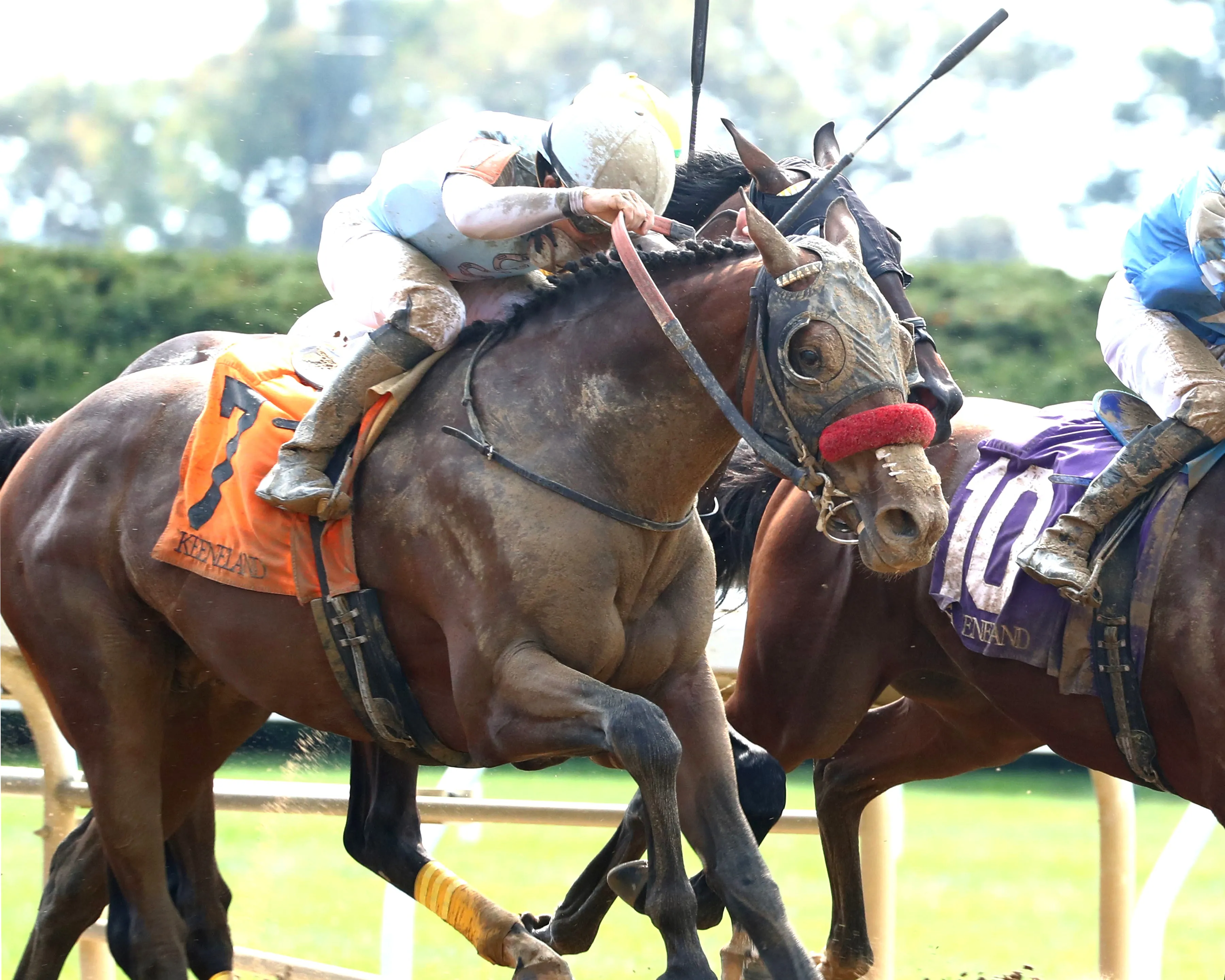Vitruvian Man wins maiden at Kee Oct 18 2026