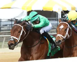 Conquerthosewecan wires Stellar Wind rivals after last-second jockey switch