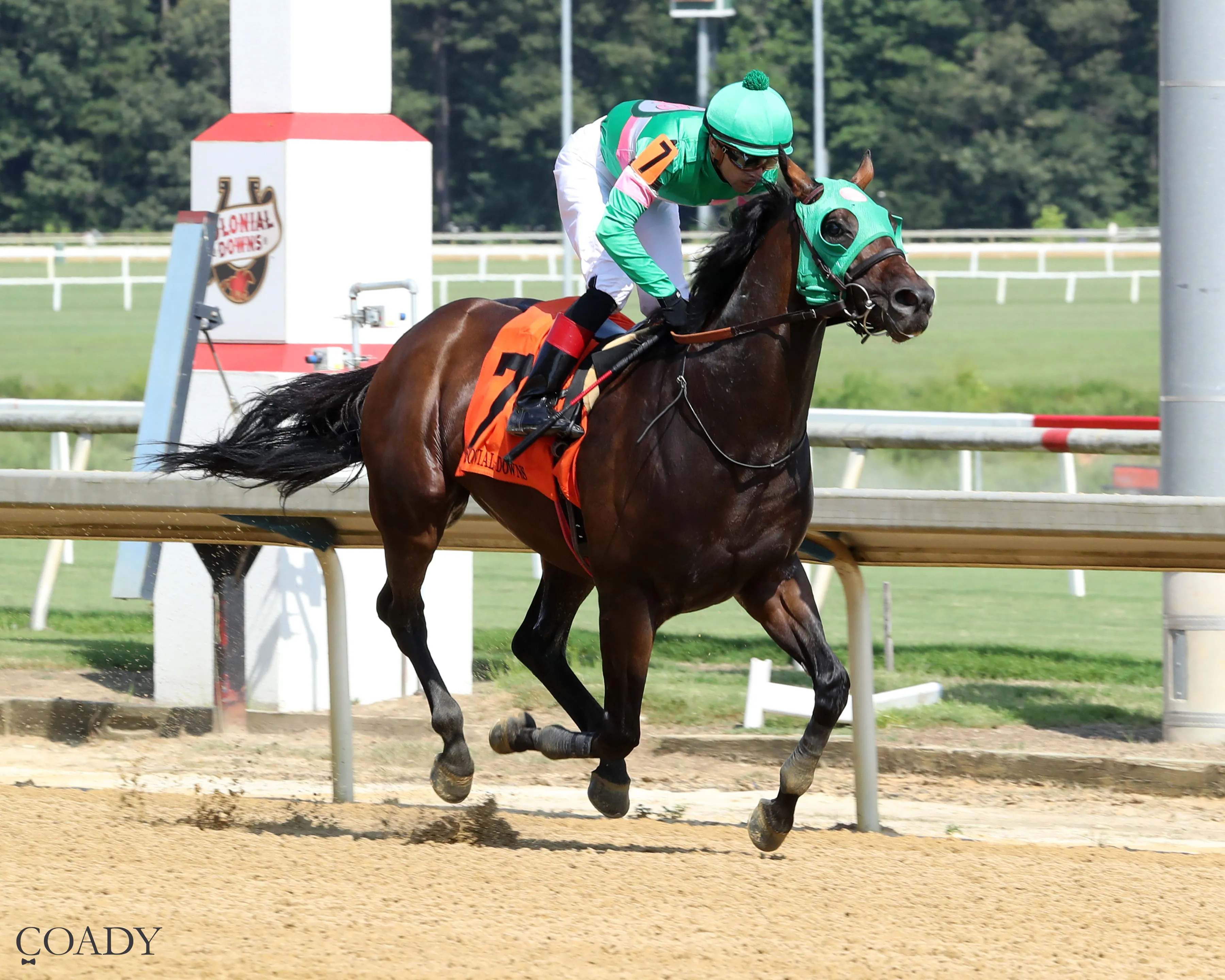 PATRIOT SPIRIT - The Reigh Count Stakes - 07-26-25 - R09 - Colonial Downs - Finish 02.jpg