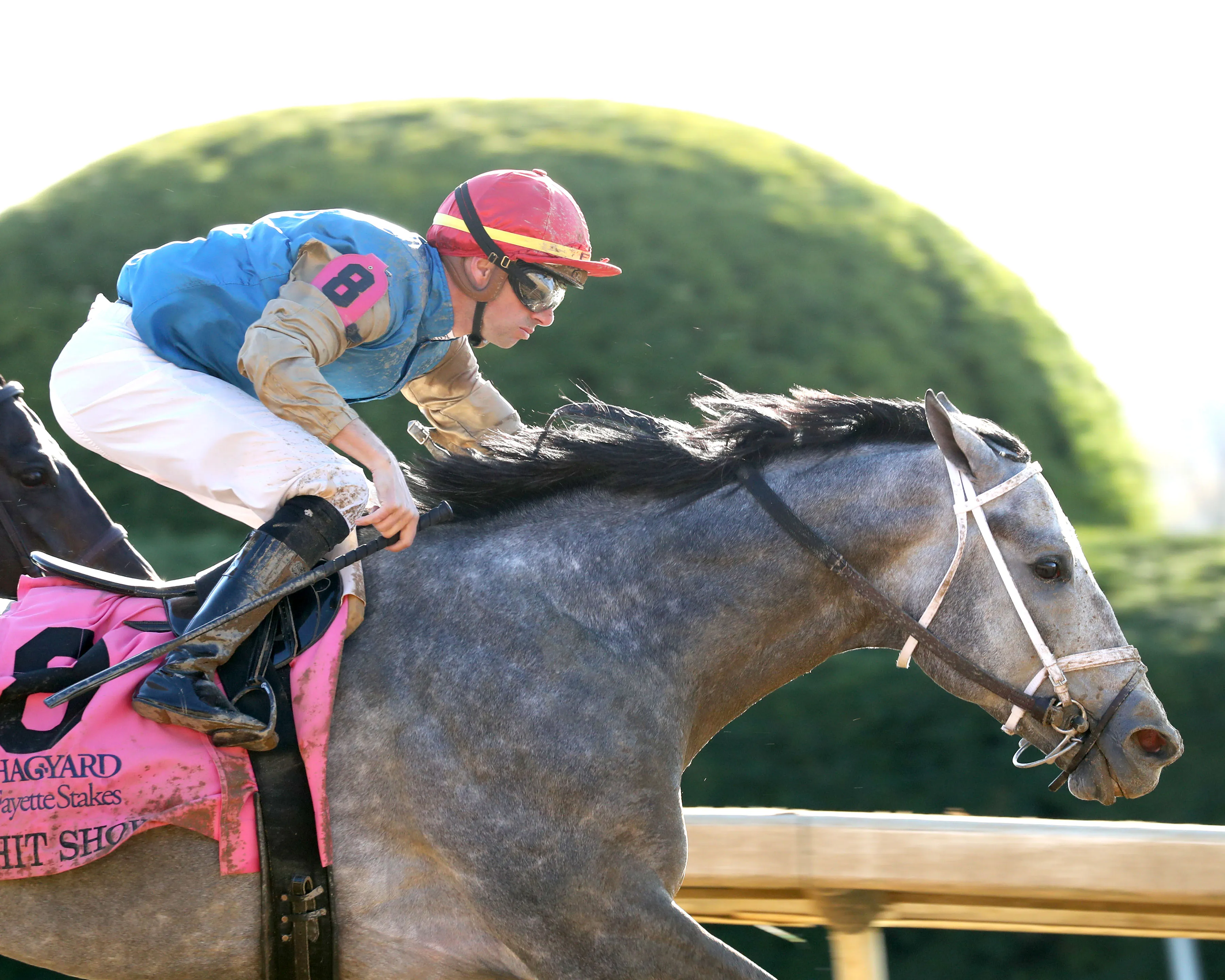 HIT SHOW - The Hagyard Fayette G2 - 10-26-24 - R08 - Keeneland Race Course - Finish 03 - Madison Becker.jpg