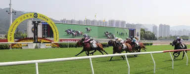 Luke Middlebrook's Hong Kong Selections and Analysis for Saturday, Jan. 17, 2026