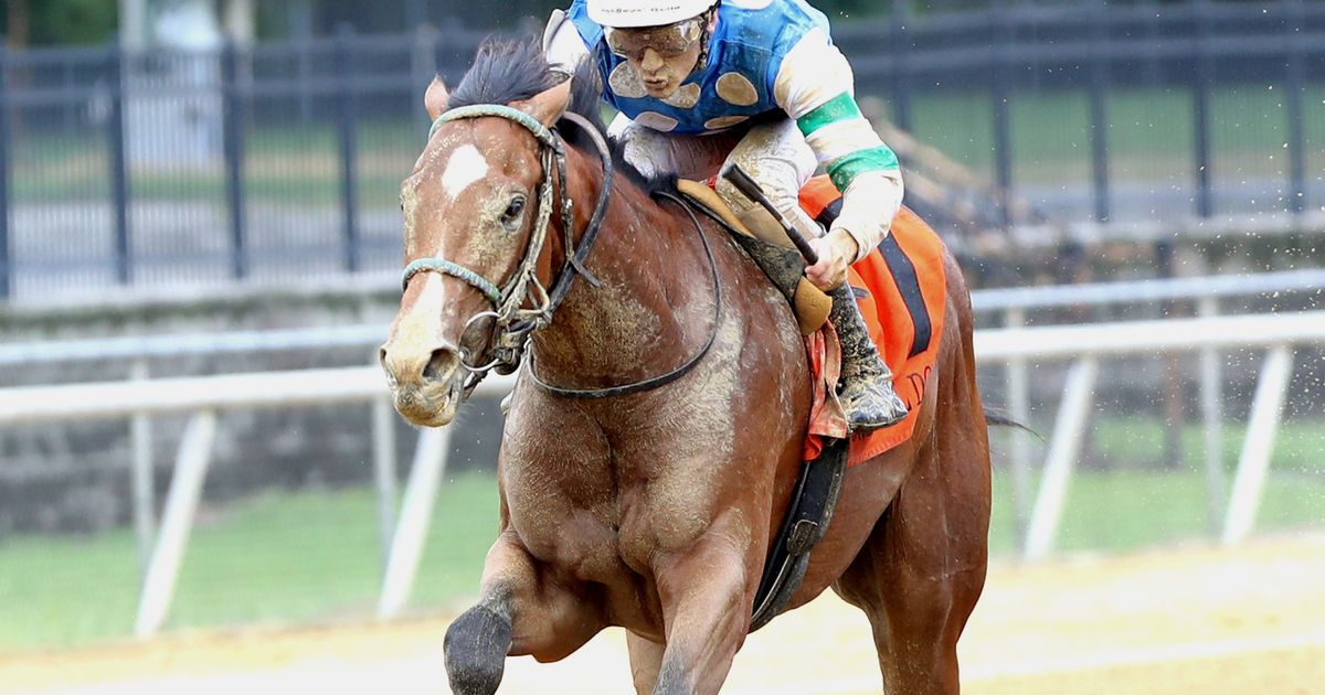 Trendsetter favored to take Hickory Tree rivals to the woodshed