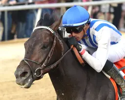 Incredibolt enters Kentucky Derby picture with Virginia Derby triumph