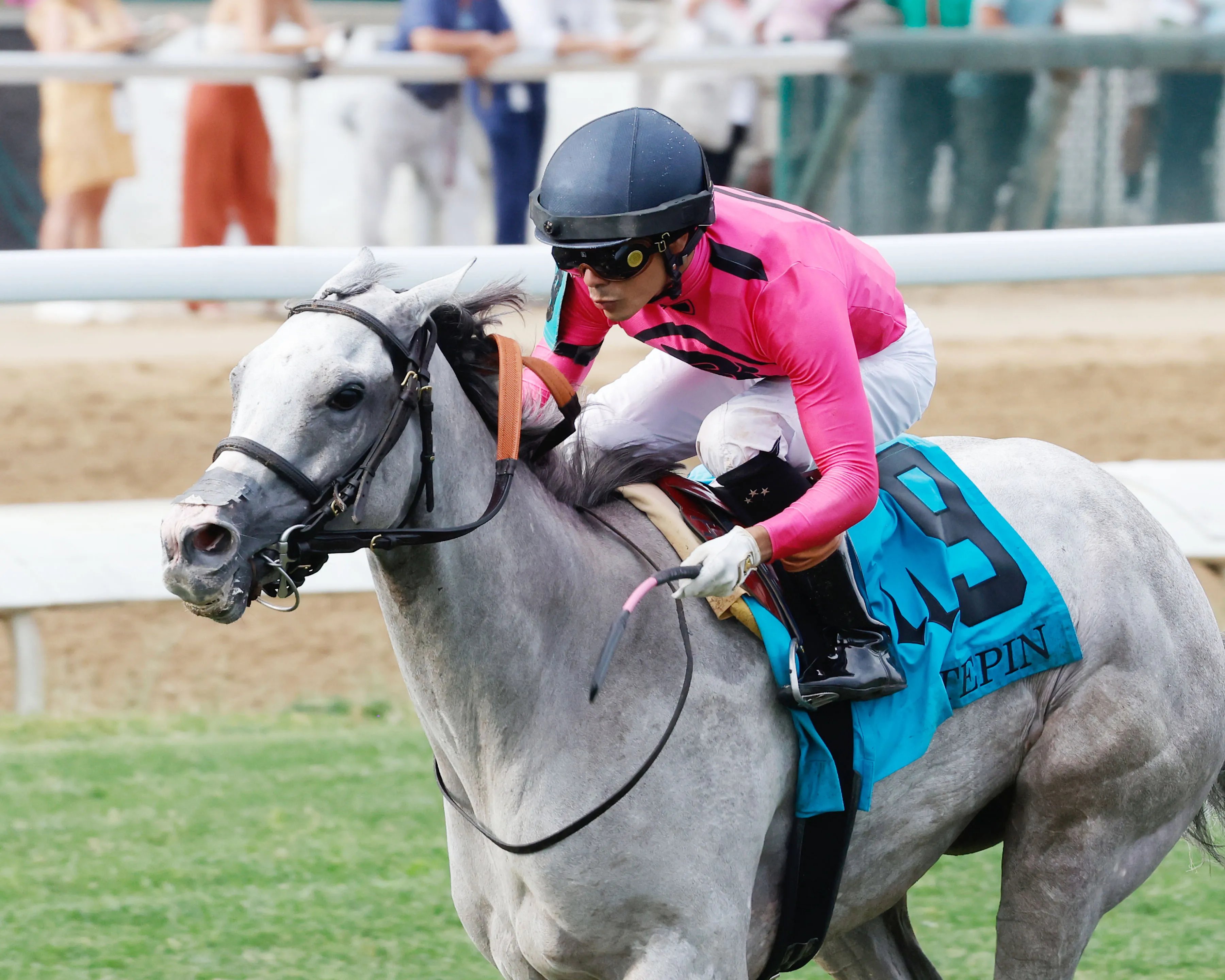 DANCING N DIXIE - The Tepin - 06-29-24 - R12 - Churchill Downs - Inside Finish 01 - Christine Hayden.jpg