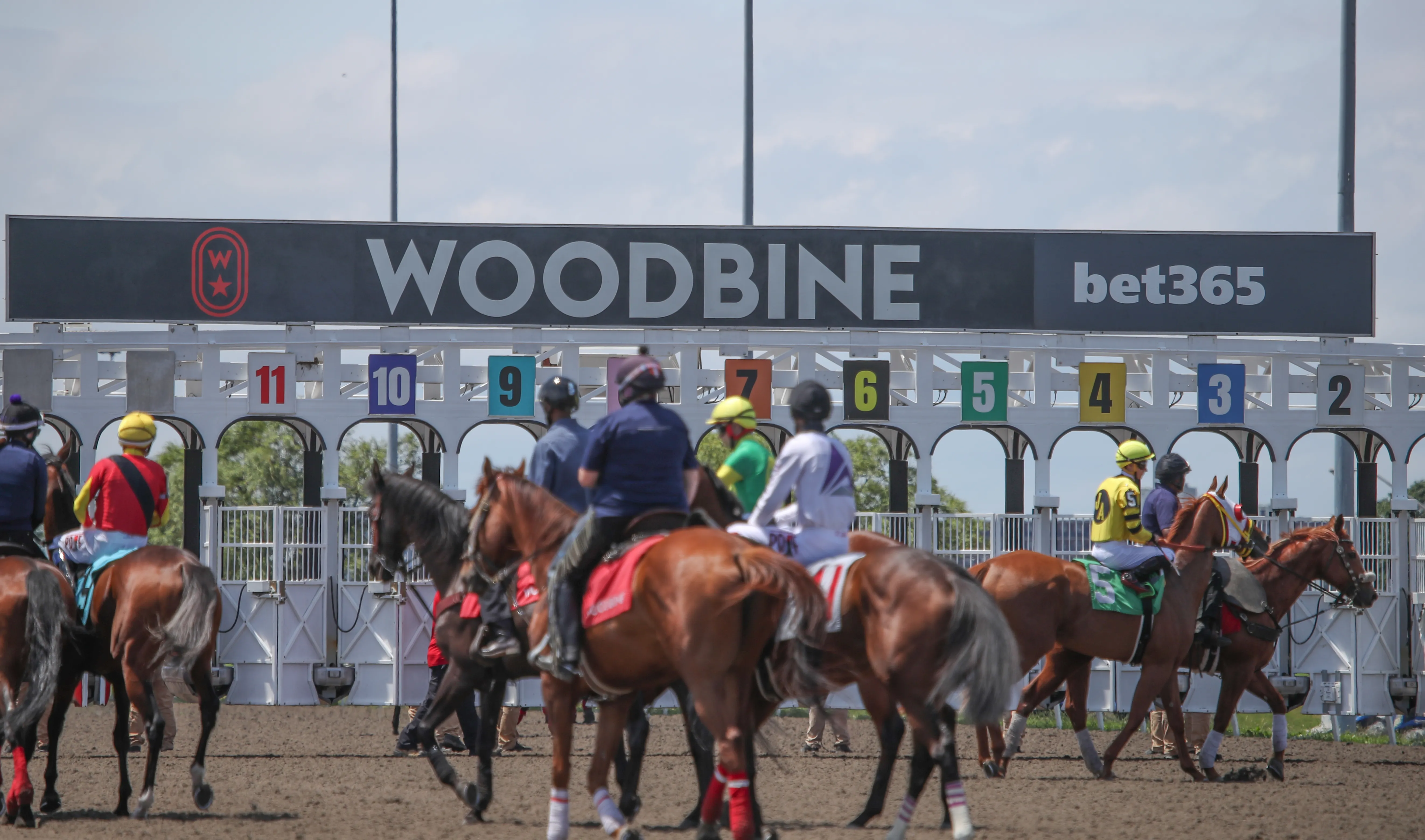 Woodbine Scenic04.06-28-25.JUW (1).jpg