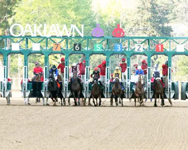 Holiday meet handle way up; purses to increase during classic meet