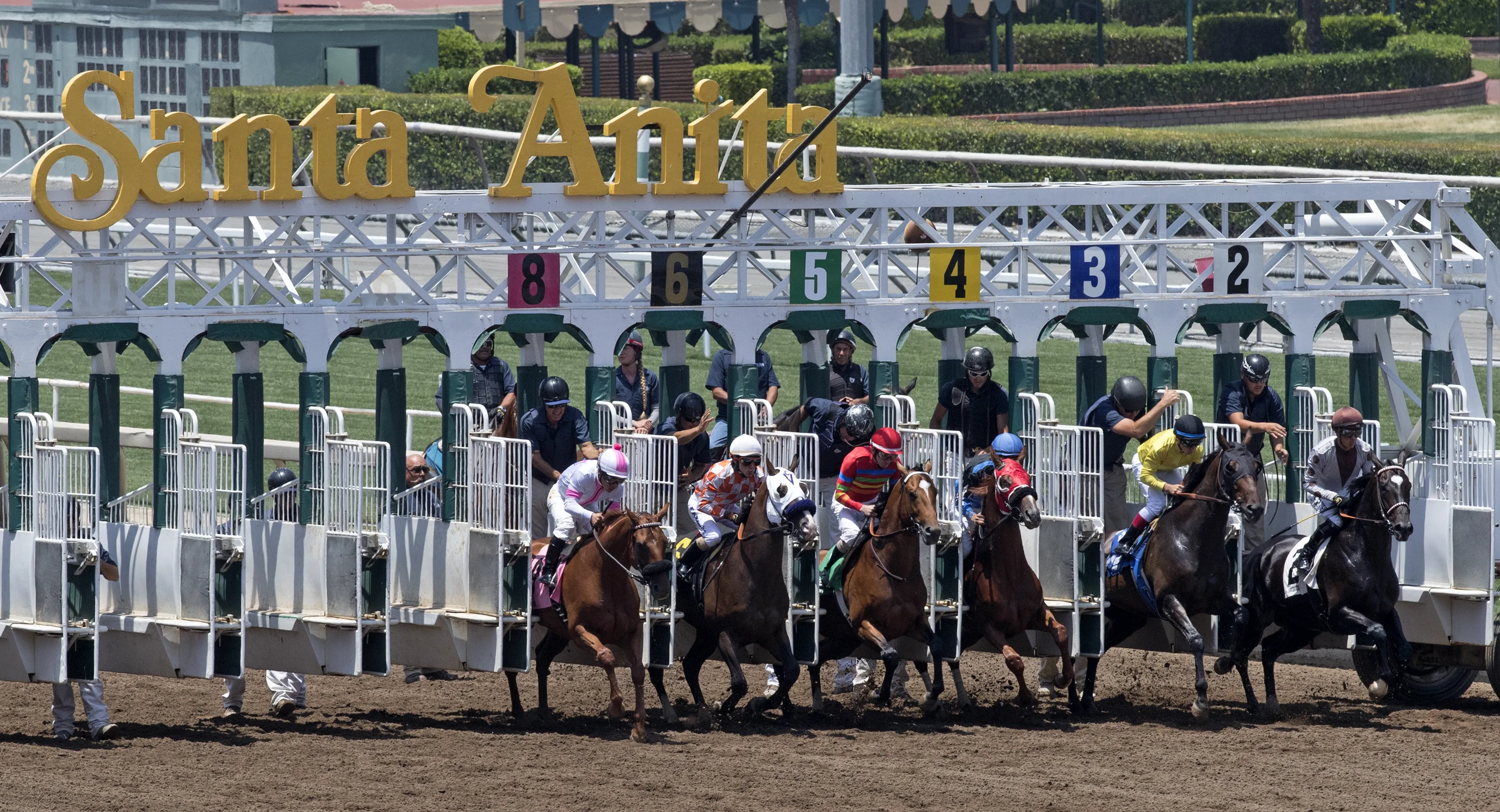 SA.starting gate02.6-30-17.BL_.jpg