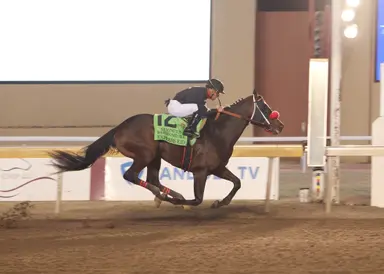 Express Kid transferred to Evans; will head to Sunland Derby