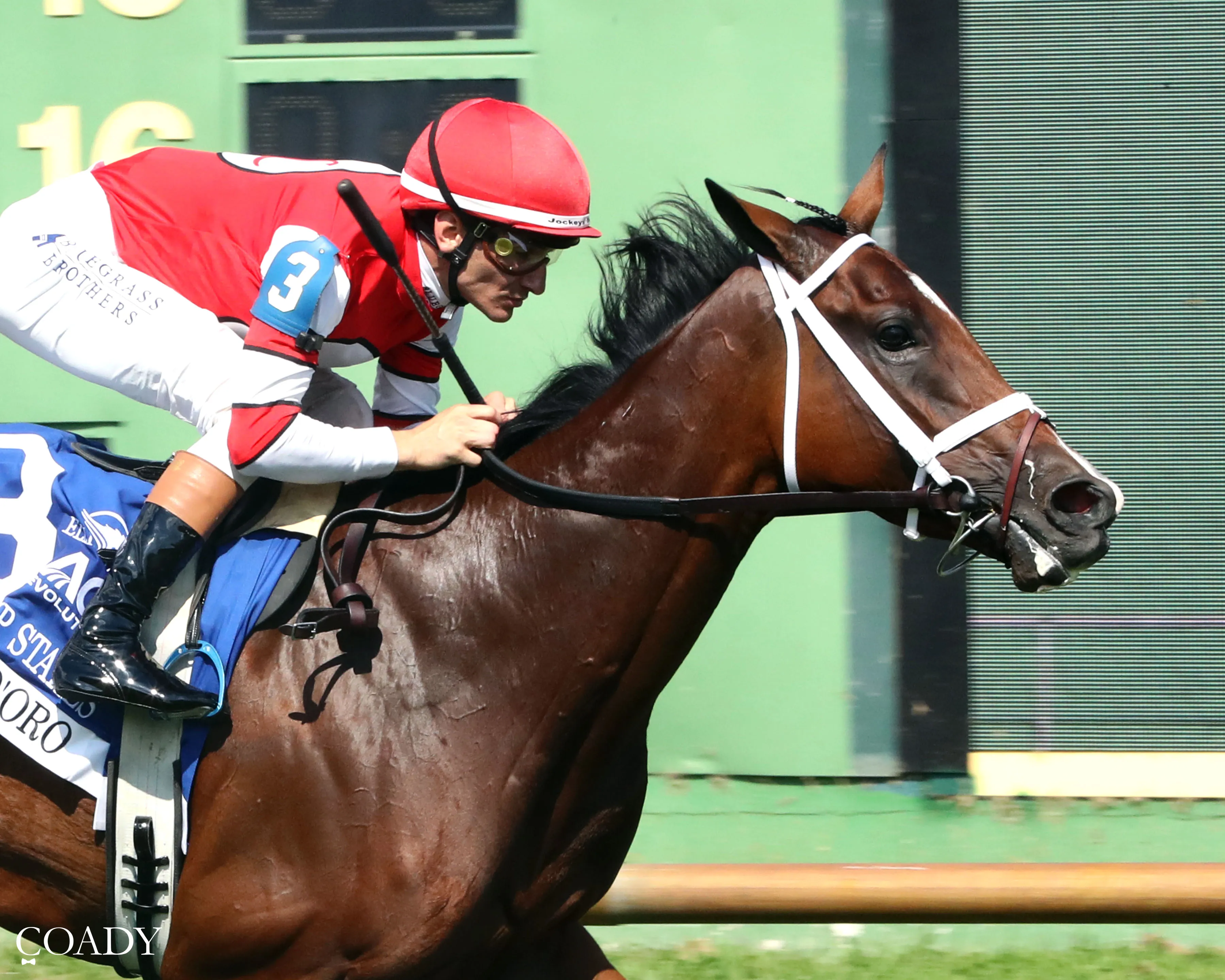 DESTINO D'ORO - The Pucker up G3 - 08-03-25 - R09 - Ellis Park - Finish 03.jpg