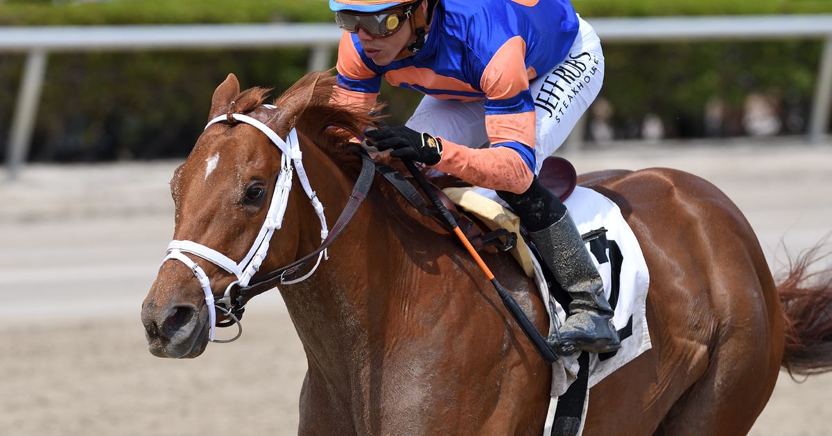 Breakout Beyers: Be You lives up to his early promise with flashy victory