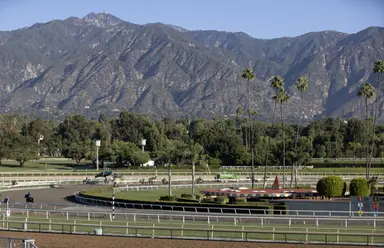 Miss Watermelon gets more ground in search of breakthrough win