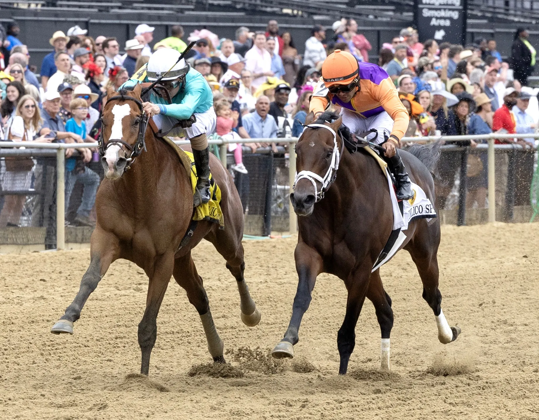 Pyrenees (left) beats Kingsbarns in Pimlico Special May 17 2024