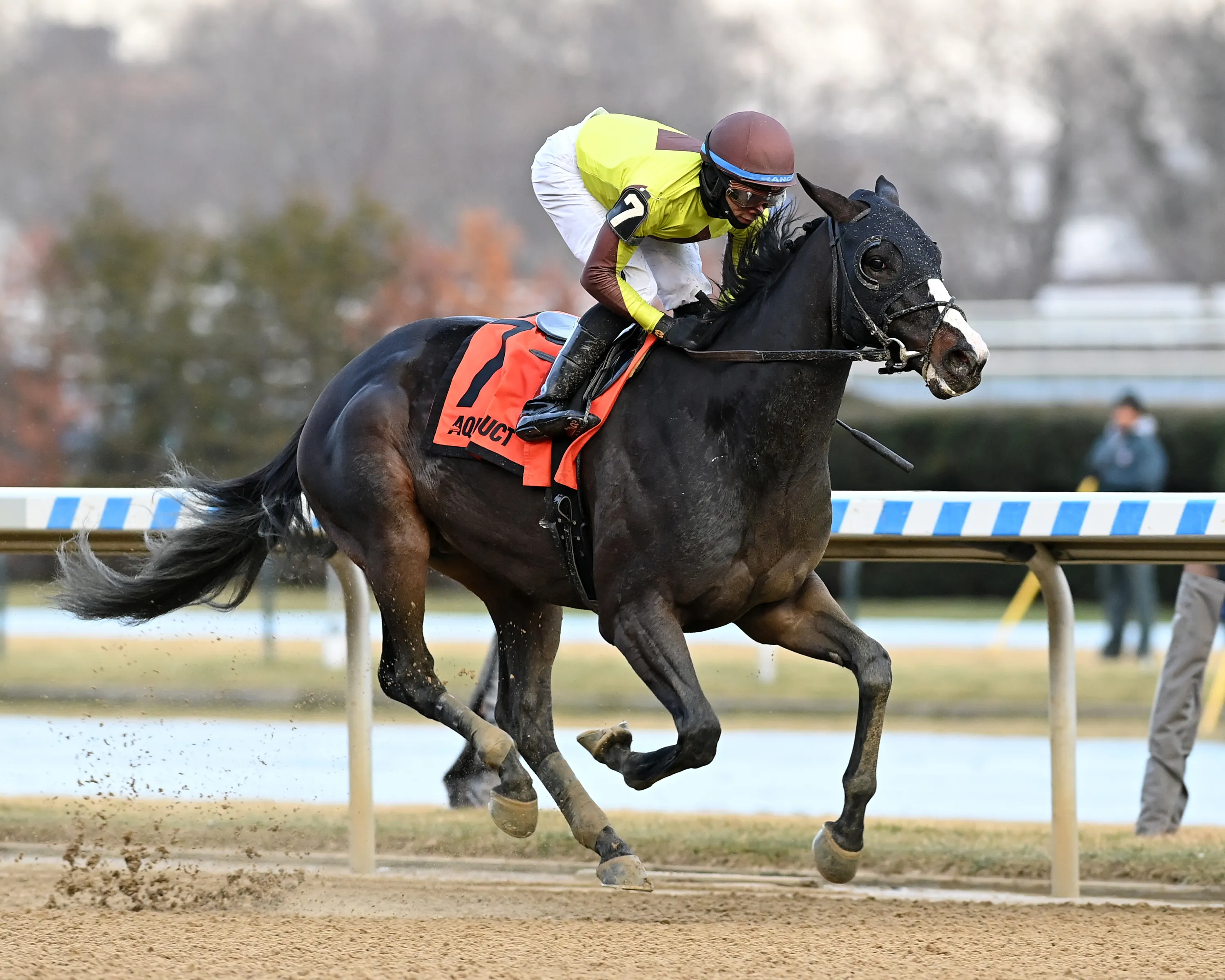 Law Professor wins the Queens County at AQU Jan 7 2023
