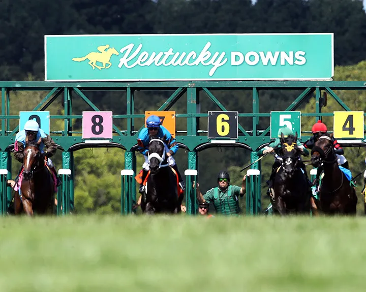 Kentucky Downs turf race