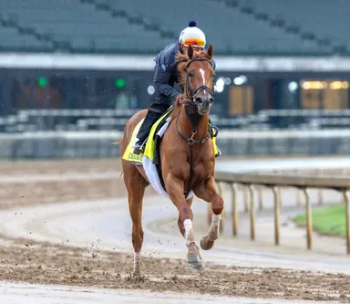 Belmont Stakes 2026: Brown running three horses, each for a different reason