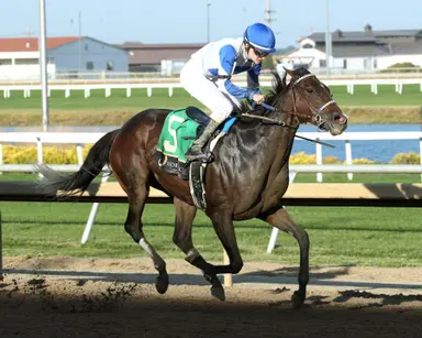 Corningstone retired, will be bred