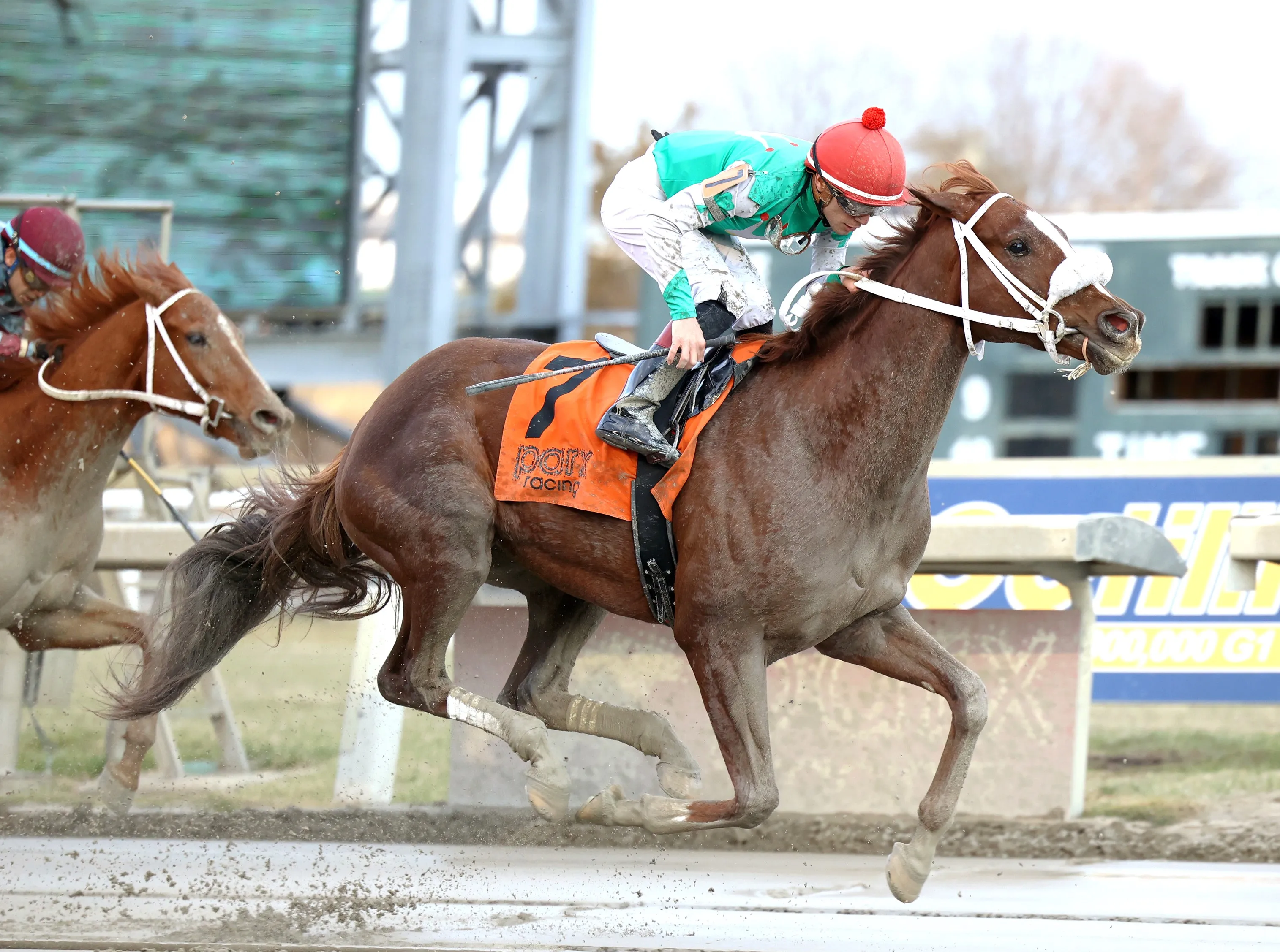 Global Steve wins Future Stars Stakes at PRX Dec 30 2025