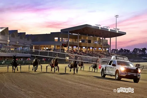 Scioto Downs stock 2-27-25