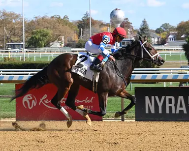 Mucho Macho Man an important test for Holy Bull