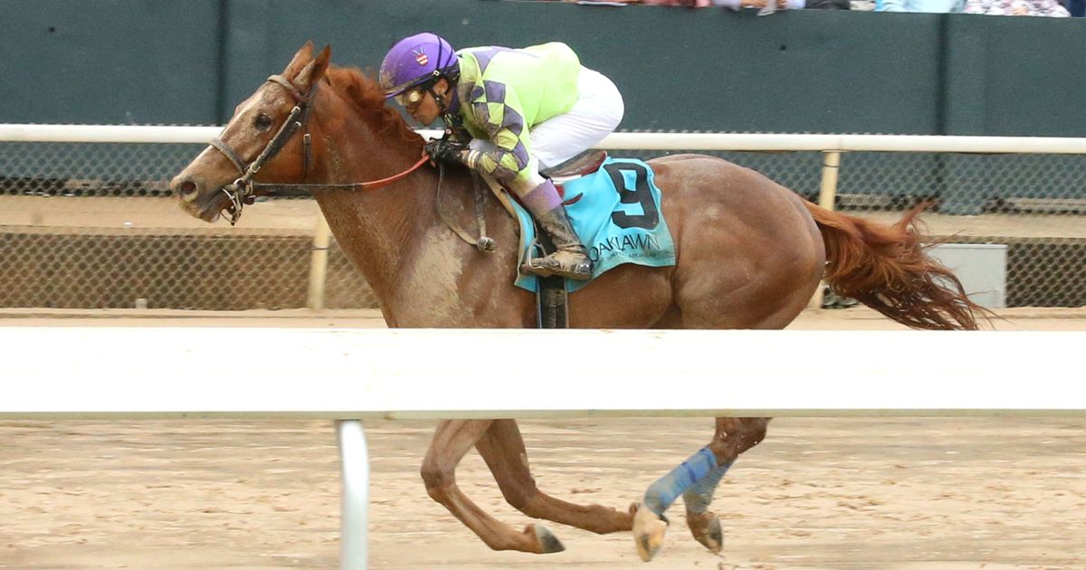 Henro likely for West Virginia Derby off Iowa Derby score