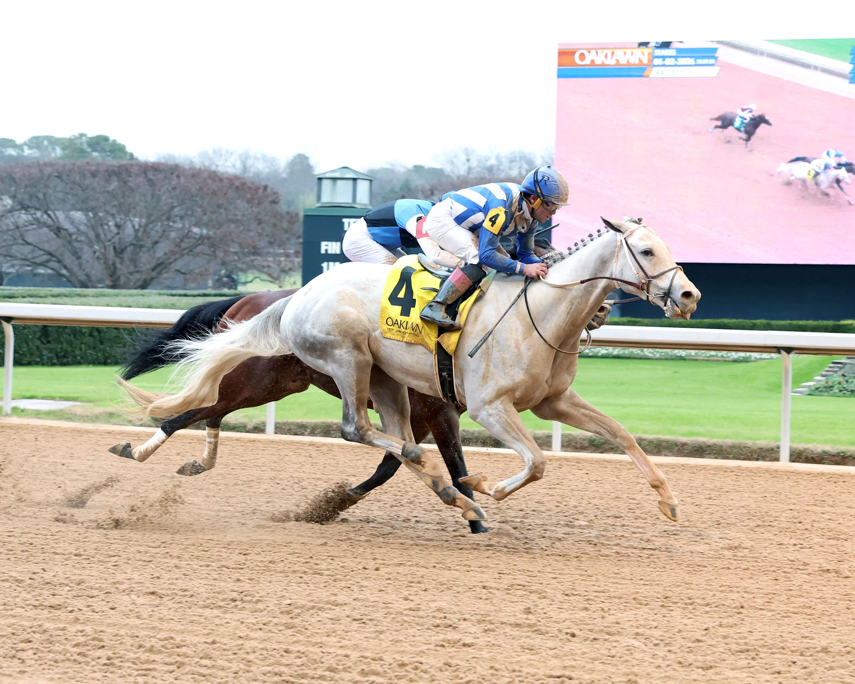 TAP INTO THIS - The Coach Overnight Stakes - 1st Running - 01-02-26 - R08 - Oaklawn Park - Finish 01 - Hunter Fridley.jpg