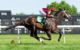 Dona Clota, Just a Touch triumph at Delaware Park